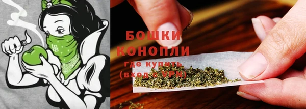 Альфа ПВП Богородск