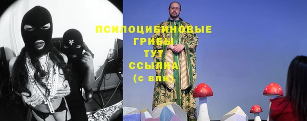 Альфа ПВП Богородск