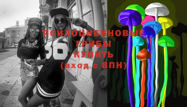 Альфа ПВП Богородск